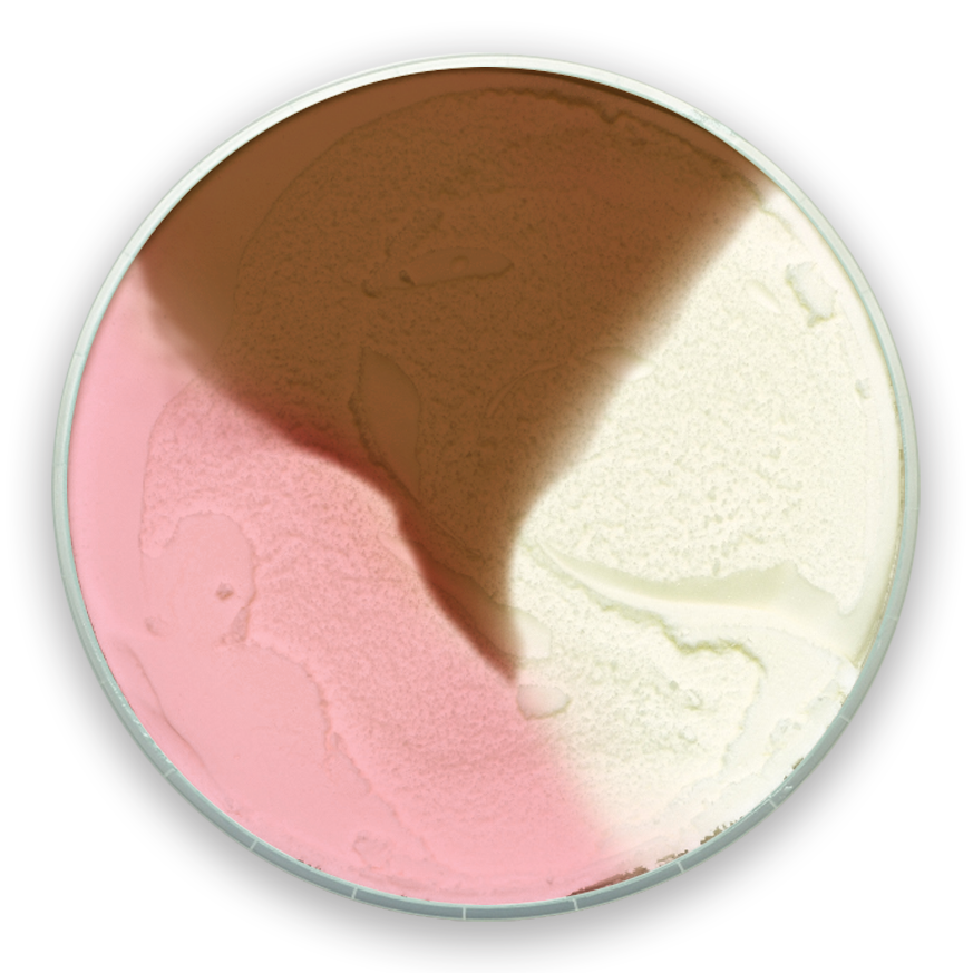 Crème glacée napolitaine - Laiterie de Coaticook Ltée.